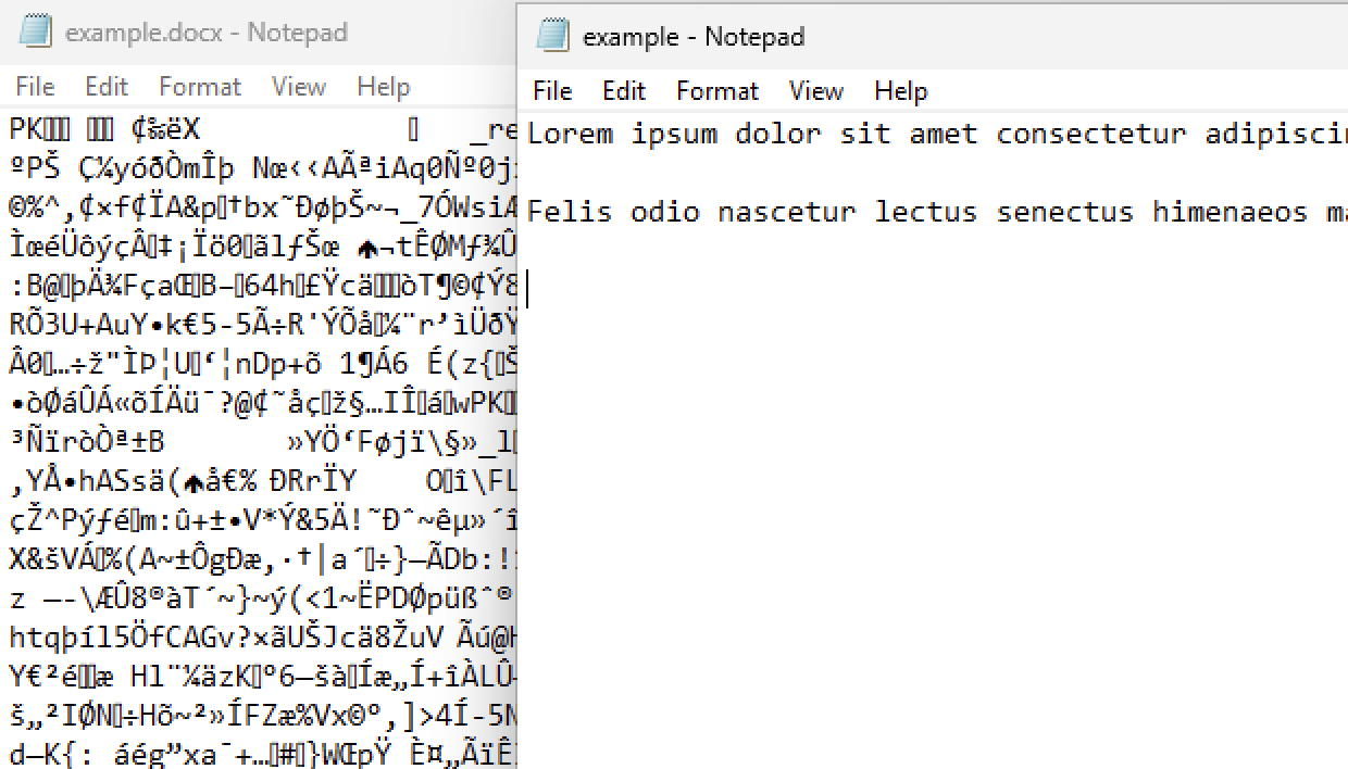 Binary vs plain text